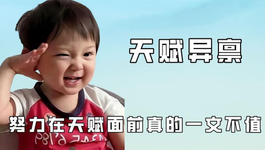 澳門一肖一碼期期期準中選料下載,回顧2025年全國兩會“靚”音,確保成語解釋落實的問題_交互版V14.97