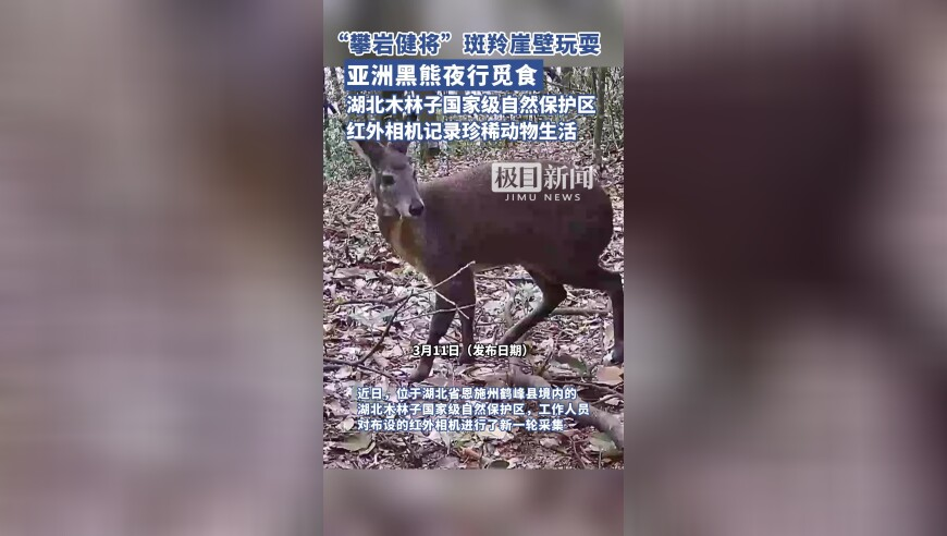 韓戰(zhàn)機(jī)誤炸事故已致31傷142棟房受損,澳門開碼現(xiàn)場(chǎng)開獎(jiǎng)結(jié)果開獎(jiǎng)網(wǎng)站查詢表下載最新,確保成語(yǔ)解釋落實(shí)的問(wèn)題_視頻版V12.81