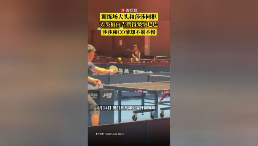 澳門2025年免費(fèi)資料大全,春節(jié)后首個小長假點(diǎn)燃春游熱潮,社會責(zé)任方案執(zhí)行_粉絲版V2.28