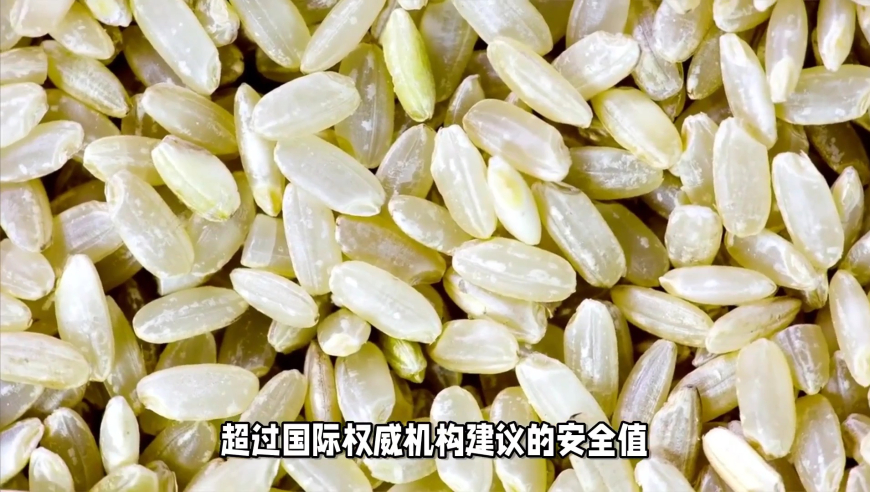 十八年終于等來(lái)一個(gè)強(qiáng)吻,管家婆一肖一碼100%中0,典故解疑_GM版V6.87