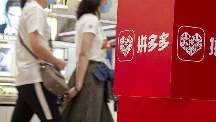 抓到一只班味特濃的貓貓,管家婆二肖二碼精選期期準,創(chuàng)新典義解讀_至尊版V6.55